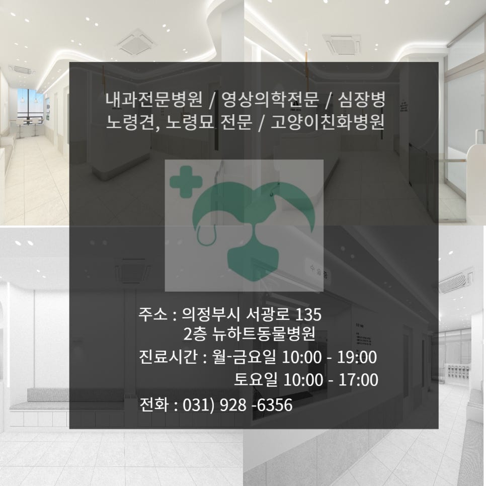용현견과 이미지