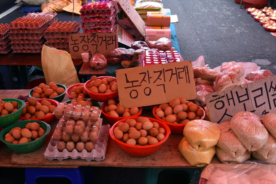 청양파스타 이미지
