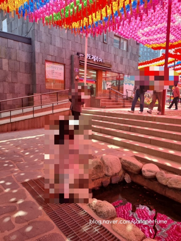 날라리물고기 이미지
