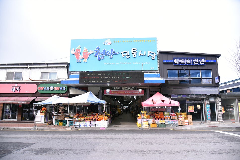 청양파스타 이미지