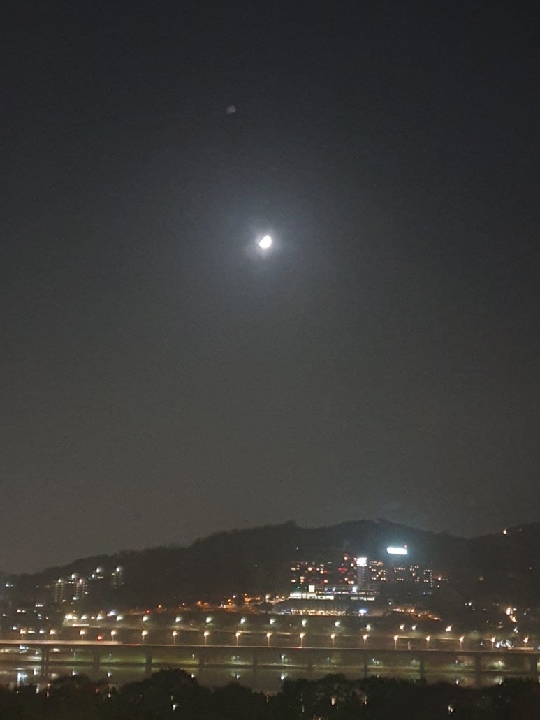 고향집홍어 이미지