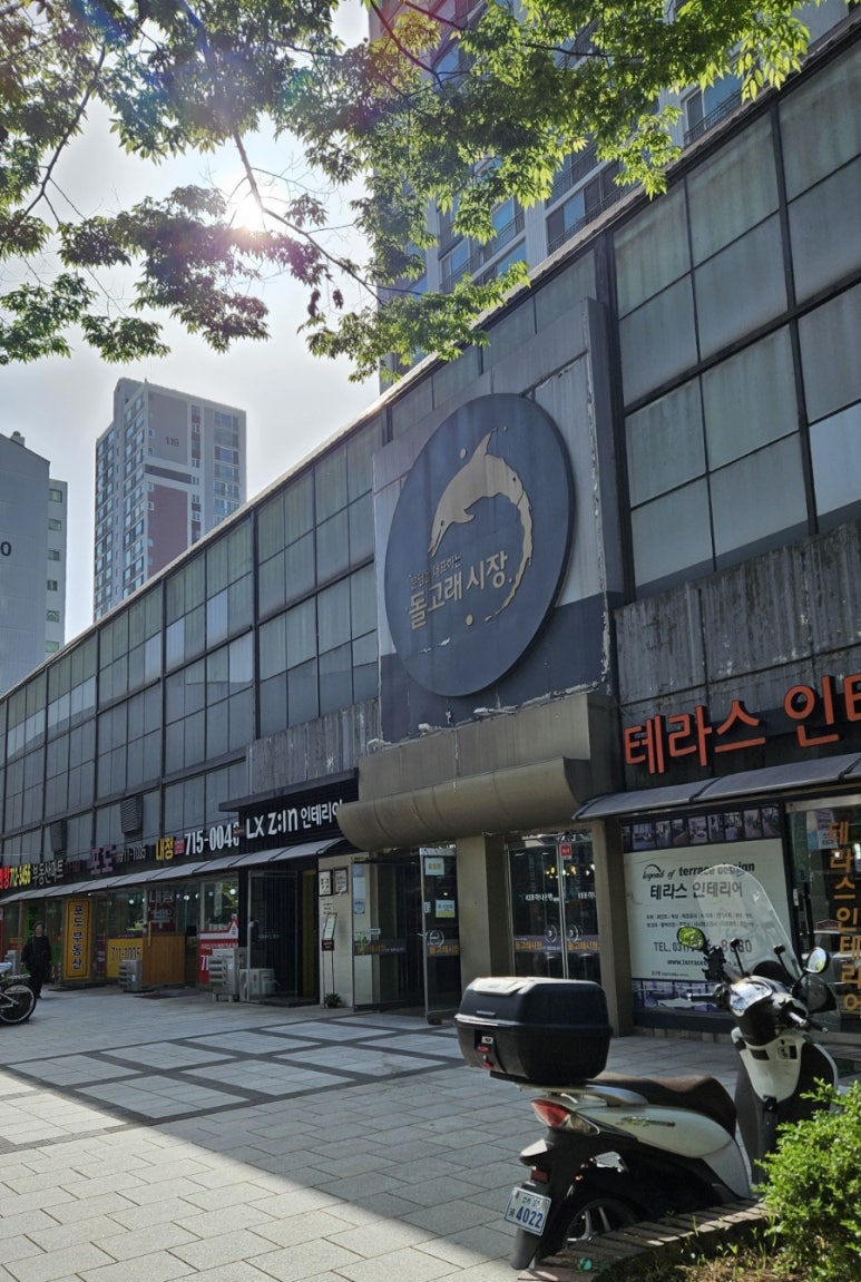 돌고래손칼국수 이미지