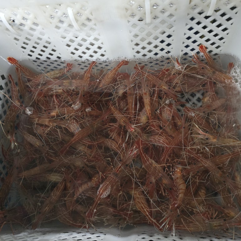 독도회타운 이미지