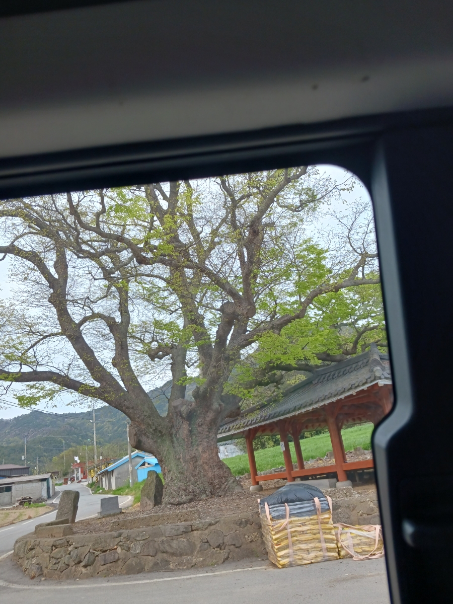 고향서림 이미지