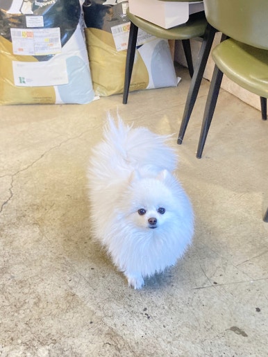 복래로커피 이미지