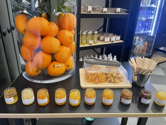 오렌지트리(Orange tree) 이미지