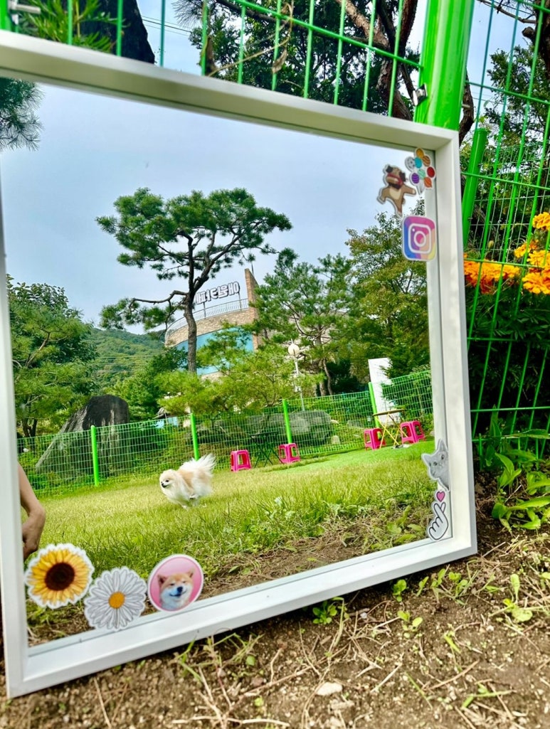 애원카페 이미지