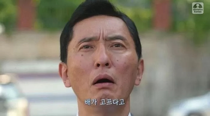 타이루스 이미지