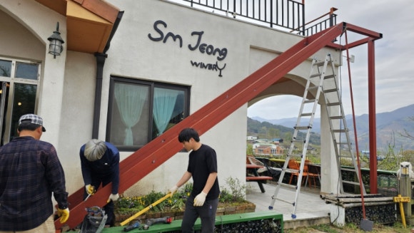 지리산꽃다연 이미지