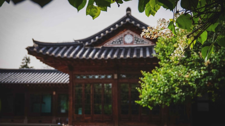 홍부자집 이미지