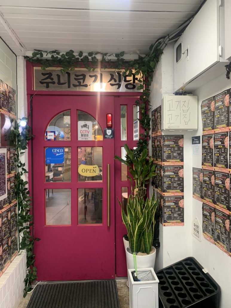 주니코기 이미지