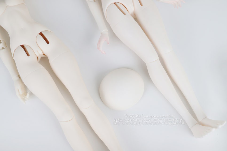 바디캐슬 이미지