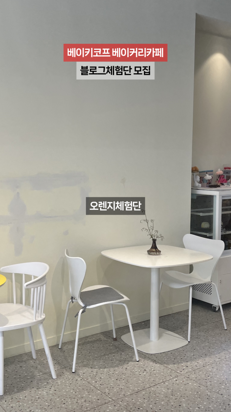 베이키코프 이미지