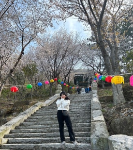 맘포차 이미지
