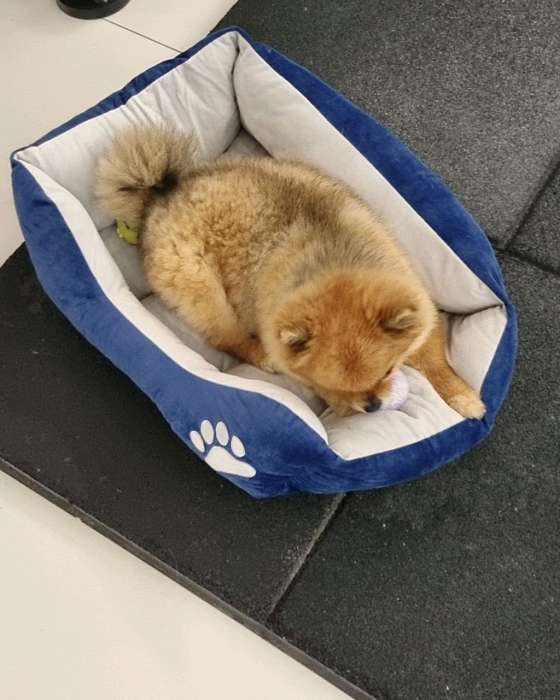 니드핏 이미지