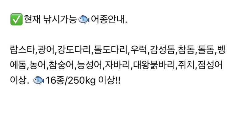 빅히트바다낚시터 이미지