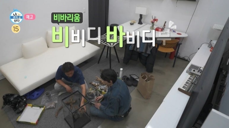 갤러리코쿤 이미지