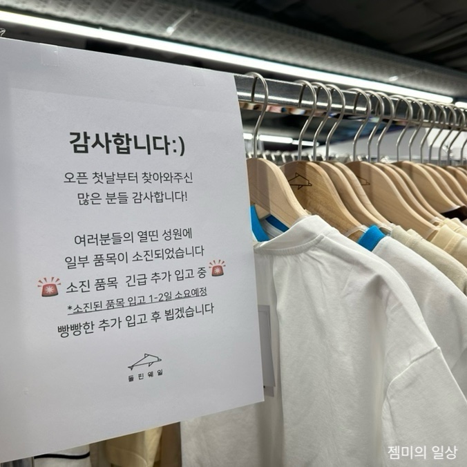 돌핀웨일대구노리터 이미지
