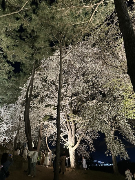 닭만공격보문점 이미지