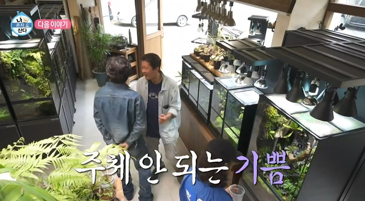 갤러리코쿤 이미지