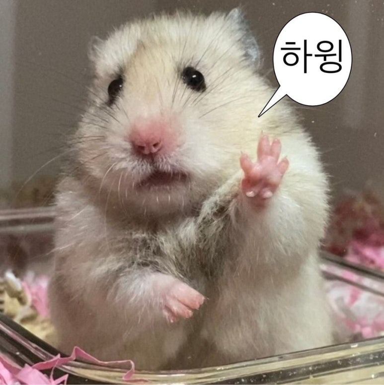 스시마당 이미지