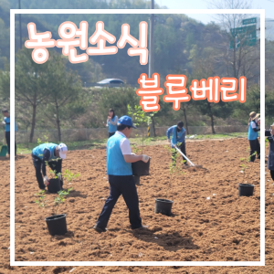 현대상수도 이미지