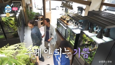 갤러리코쿤 이미지