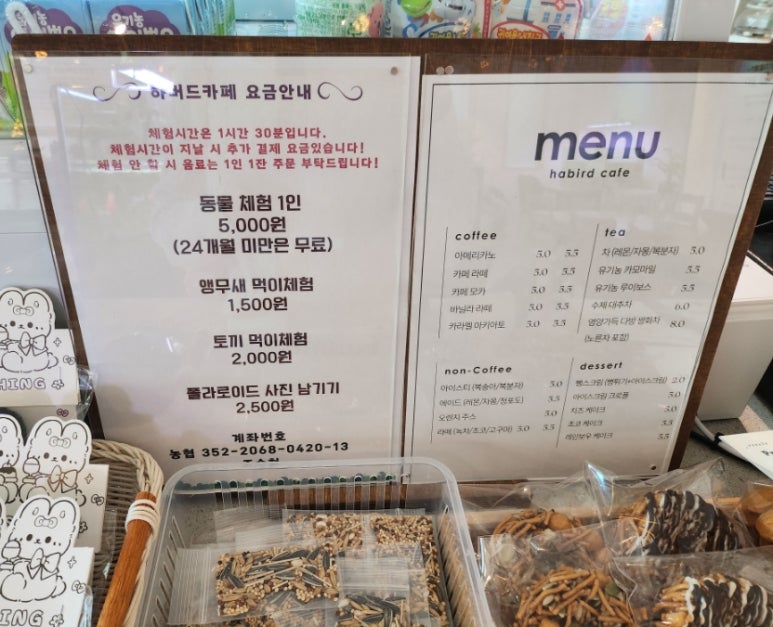 하버드앵무새카페 이미지