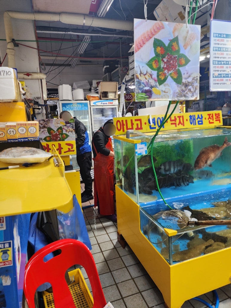 진경이네 이미지