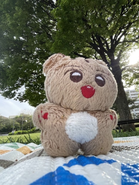 마송호프 이미지