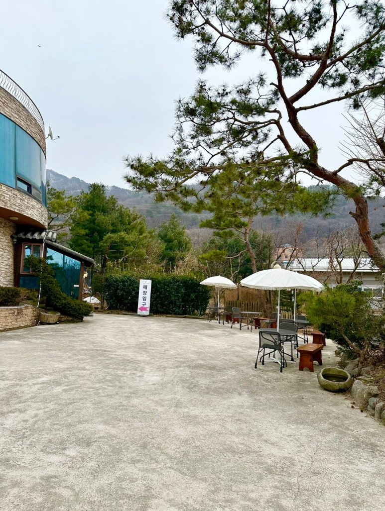 애원카페 이미지