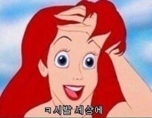타이루스 이미지