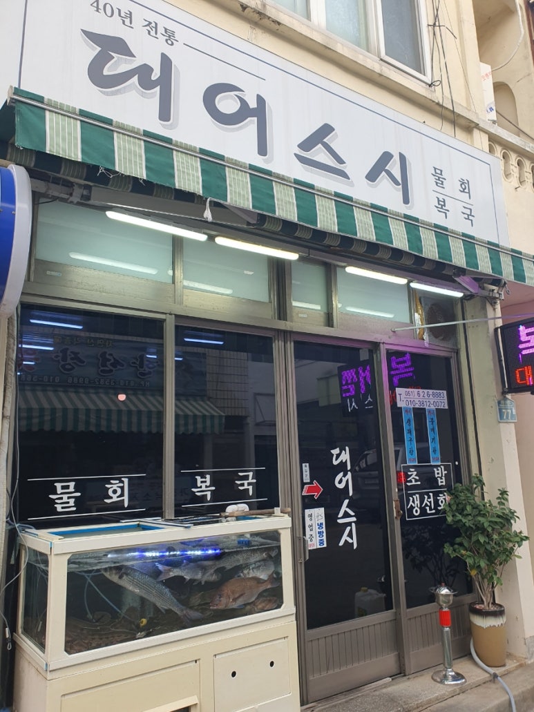 대어스시 이미지