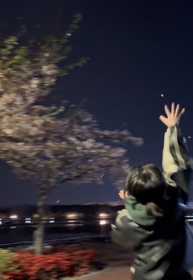 크레페니아 이미지