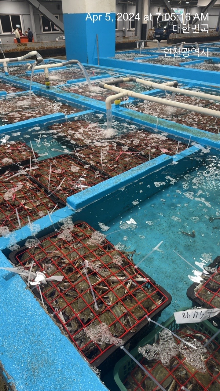 경인서부수산업협동조합 이미지