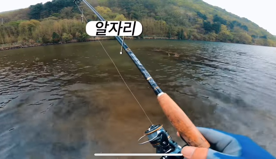 더블넥서스 이미지