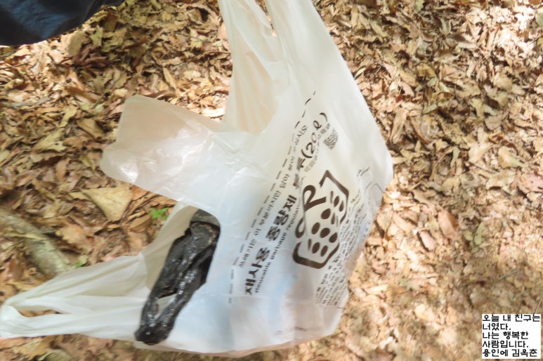 애기김밥 이미지