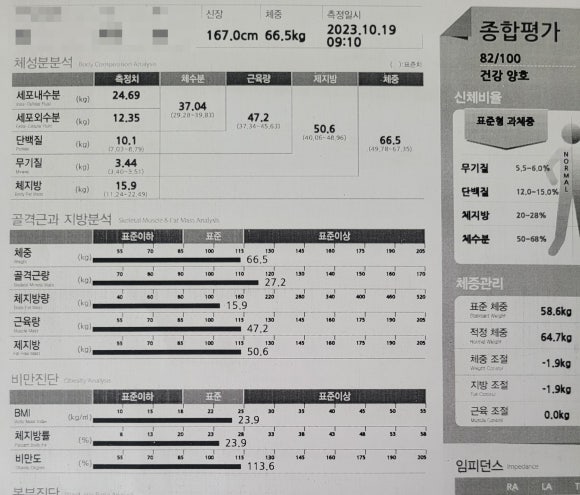 젤로스피닝 이미지
