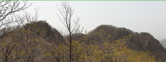 성지봉 정상 이미지