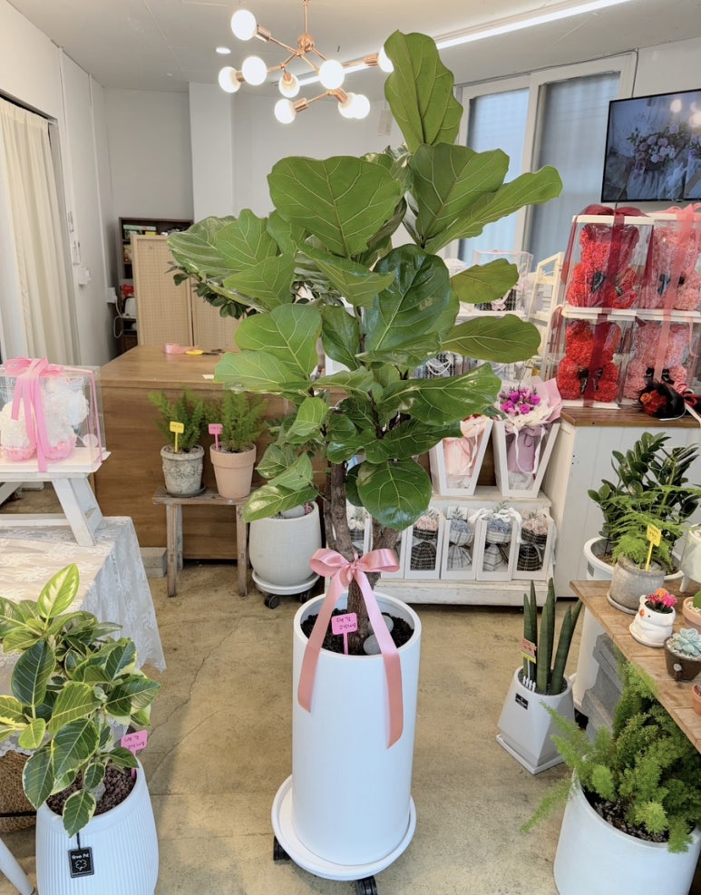 영남화분 이미지