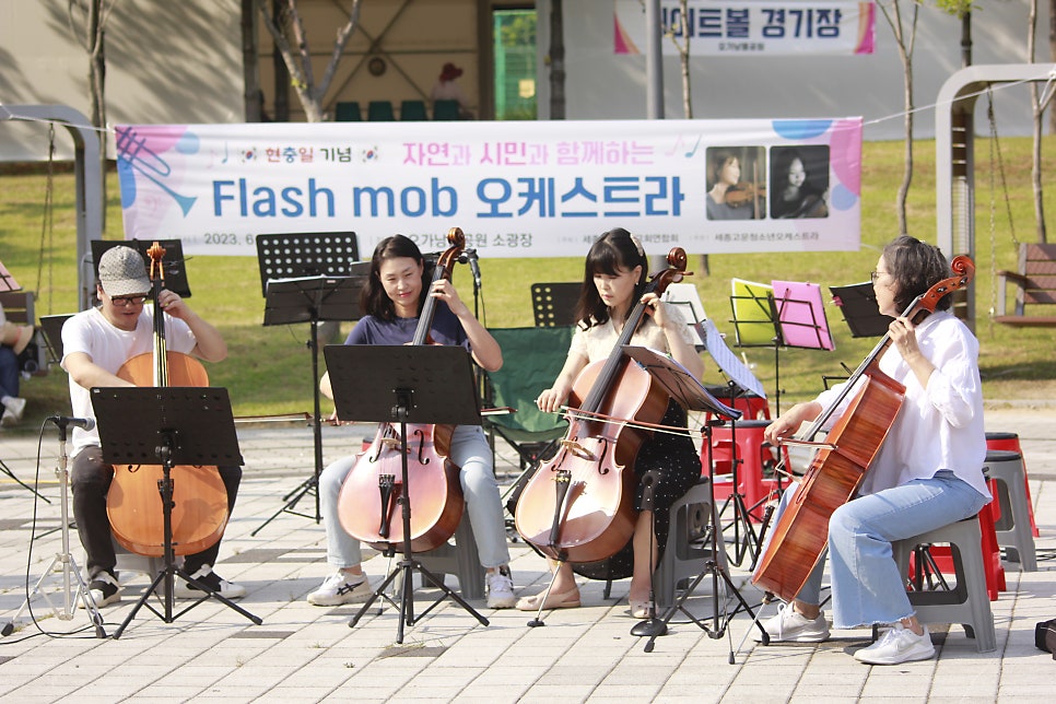 세종컴 이미지