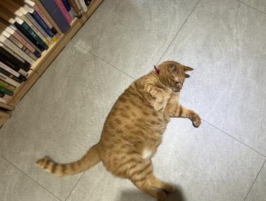 시점민박 이미지