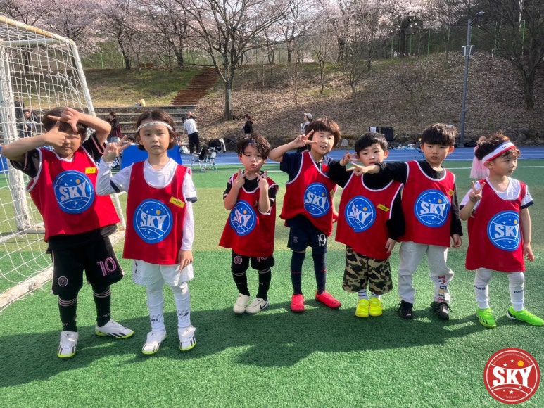 스카이스포츠아카데미 이미지