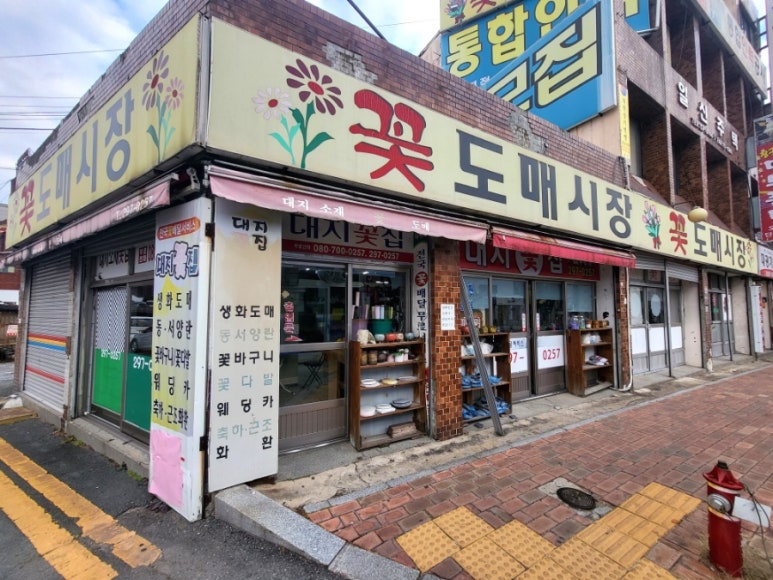 대지꽃집 이미지