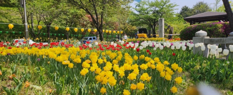 소슬락 이미지