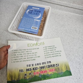 코리온스 이미지