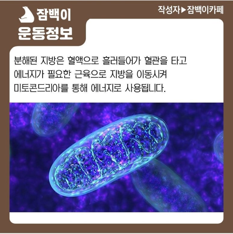 잠백이 이미지