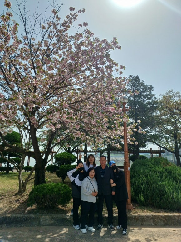 미숙이회수산 이미지