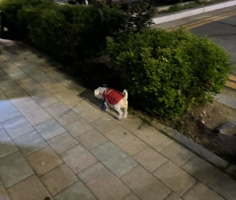 포미락갈비 이미지