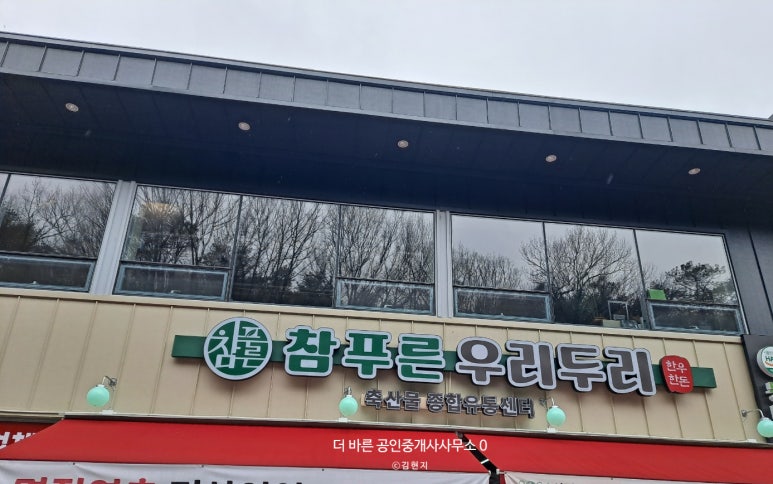 푸른참 이미지